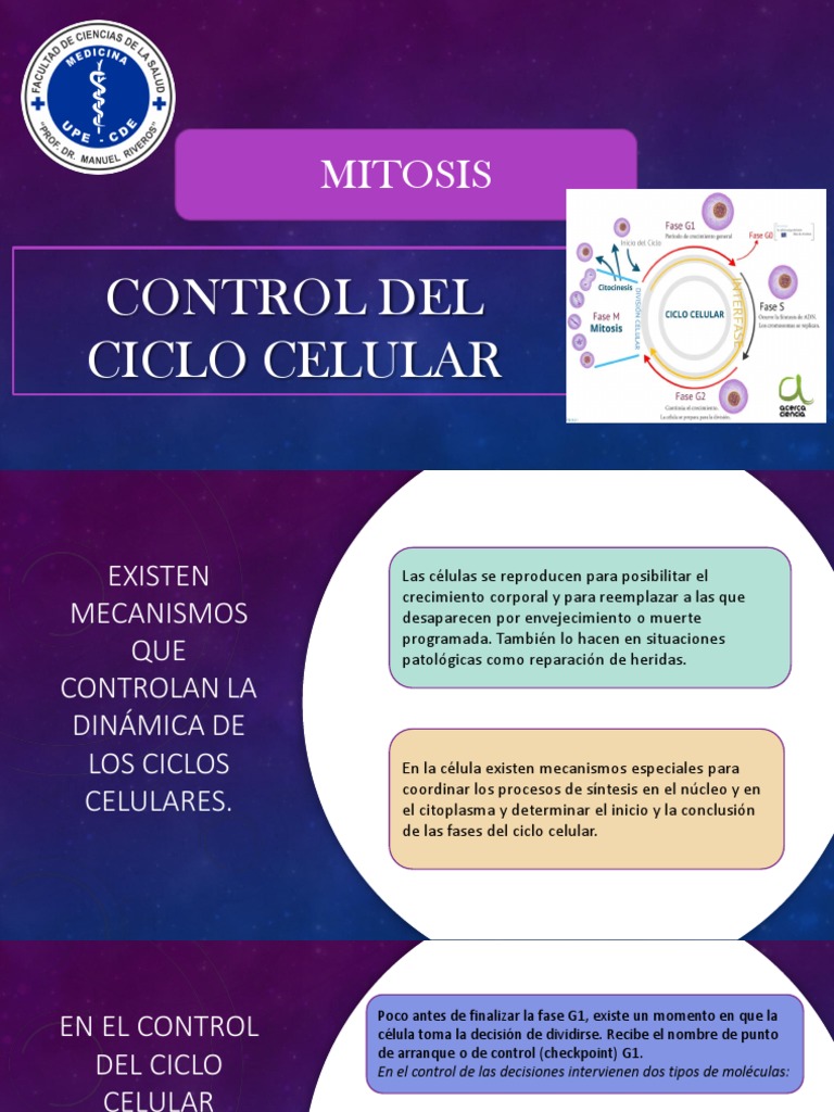 Control del Ciclo Celular y Mitosis | PDF | Ciclo celular | Gen ...