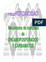 T12-neurotoxicidad