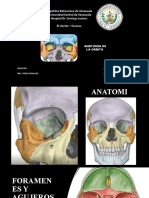 ANATOMIA ORBITA