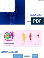 Primera Clase - Esqueleto Axia - Embriologia.