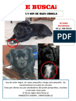 SE BUSCA