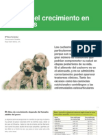 6 Control Del Crecimiento en Cachorros