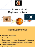 Analizatorul_vizual