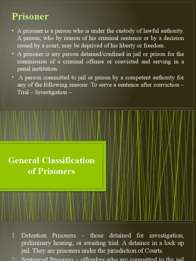 6 Classification of Prisoners PDF Prison Detention (Imprisonment)