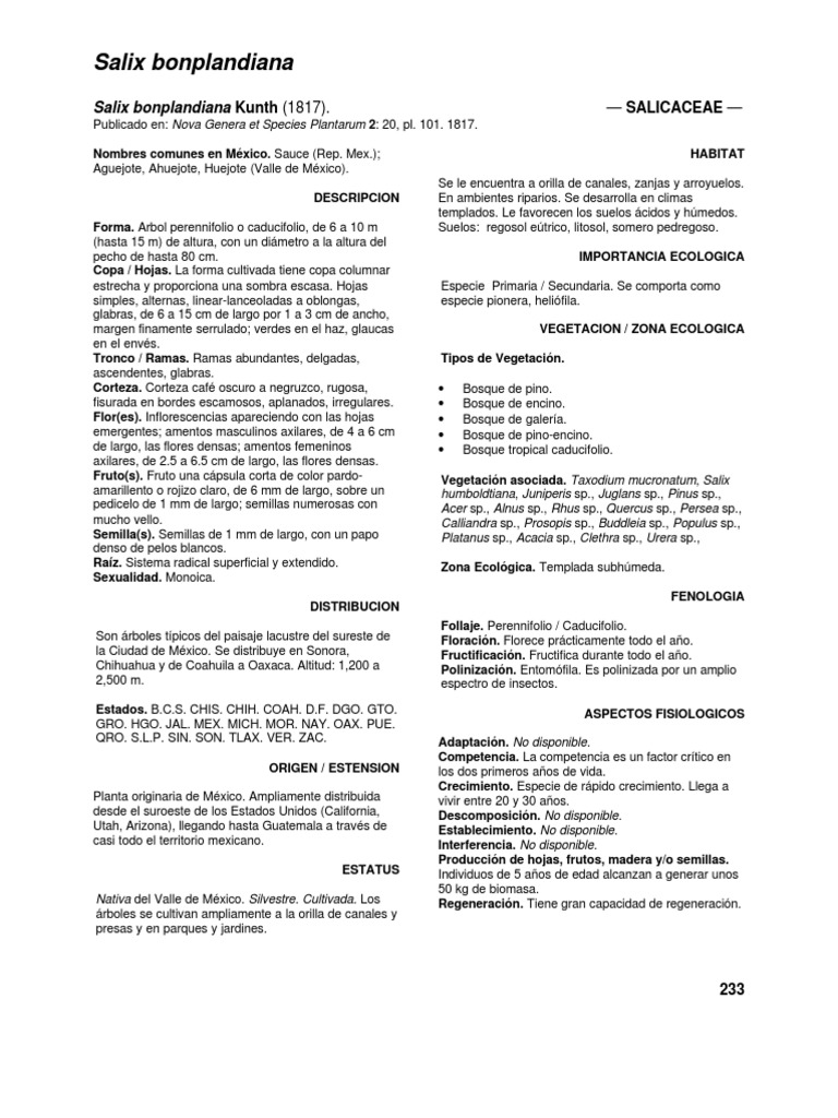 Características del Ahuejote | PDF | Germinación | Sauce