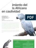 8 Mantenimiento Del Loro Gris Africano en Cautividad