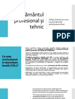 Curs 3 Curriculum Pentru IPTInterdisciplnaritate C