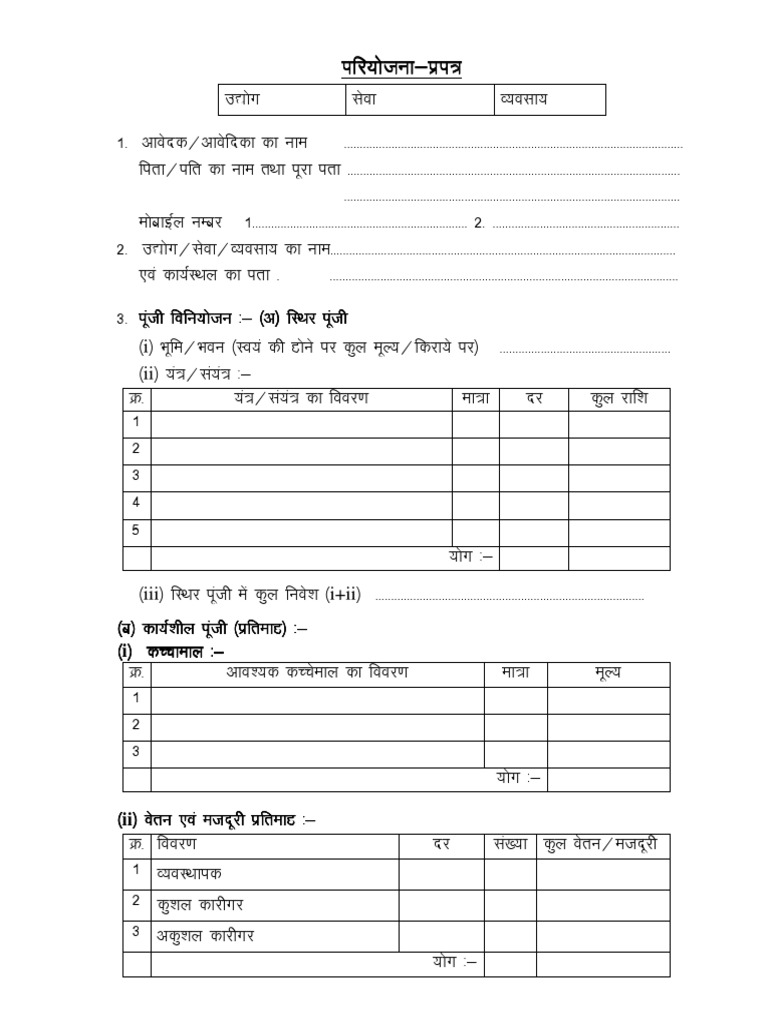 Pmegp project report format pdf