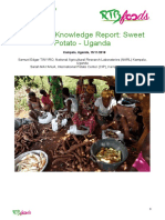 RTBfoods A 1 9 State of Knowledge On Sweetpotato I...