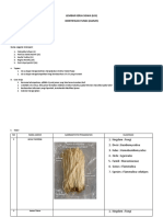 Fungi - Kelompok 2 X IPS 3