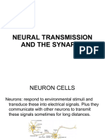 Neural Transmission at the Synapse