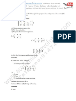 Modelo Matematicas II PCE UNED Junio 2021 Solucion