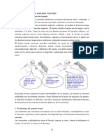 Fisiología Del Ganado Vacuno