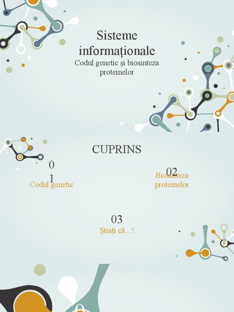 Sisteme Informationale | PDF