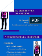 A Zsigeri Szervek Rendszere