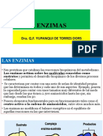 Enzimas - 18D