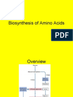 Biosynthesis of Amino Acids