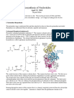 Nucleotide Biosynthesis: A Concise Look at Pyrimidine Synthesis