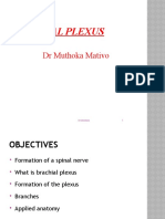 Brachial Plexus: DR Muthoka Mativo