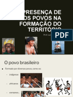 A formação da População Brasilieira