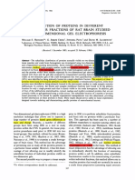 Distribution of Proteins in Different Subcellular Fractions of Rat Brain Studied by Two-Dimensional Gel Electrophoresis