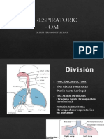 Anatomía del tracto respiratorio inferior en