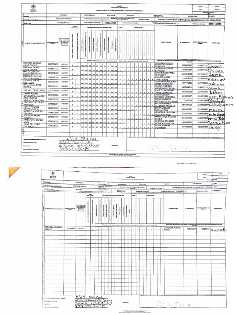 Formato RP | PDF