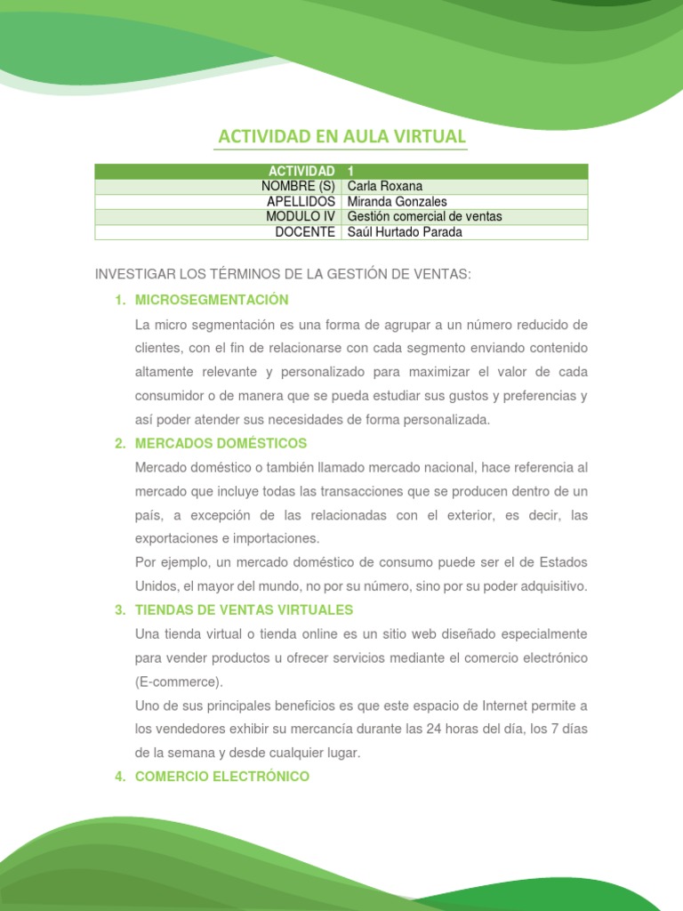 Actividad en Aula Virtual 1 | PDF | Comercio electrónico | Informática