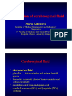 Examination of Cerebrospinal Fluid: Marta Kalousová