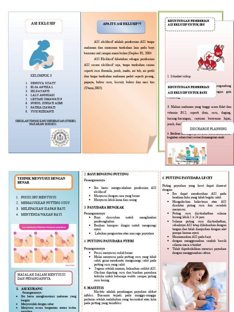 Leaflet Asi Eksklusif | PDF