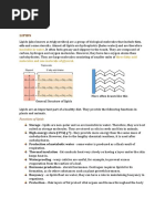 Lipids Notes and Tests