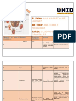 Numero de Pares Craneales Anatomía