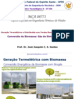 01b. Biomassa - Singás e Biogás - MCA08771 - TEETF - GeTeDiFoReAl