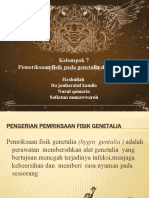 Kelompok 7 Pem - Genetalia Dan Rektum