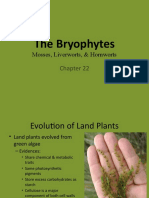 The Evolution and Adaptations of Early Land Plants