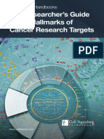 The Researcher's Guide To The Hallmarks of Cancer Research Targets