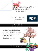 Post Harvest Managemnt of Plum and Value Addition