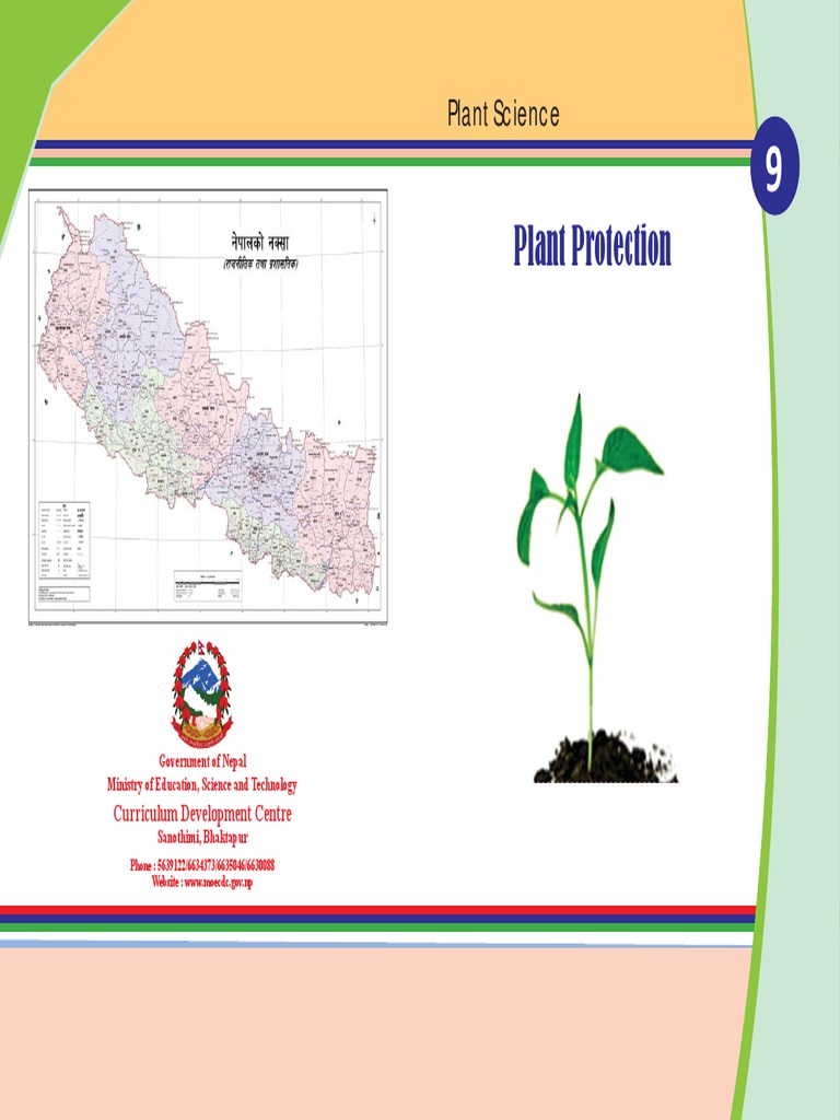 RS3836 Grade - 9 Plant Protection Grade | PDF | Insects | Weed