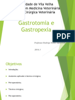 Gastrotomia e Gastropexia