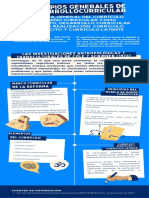 Infografía de Desarrollo Curricular