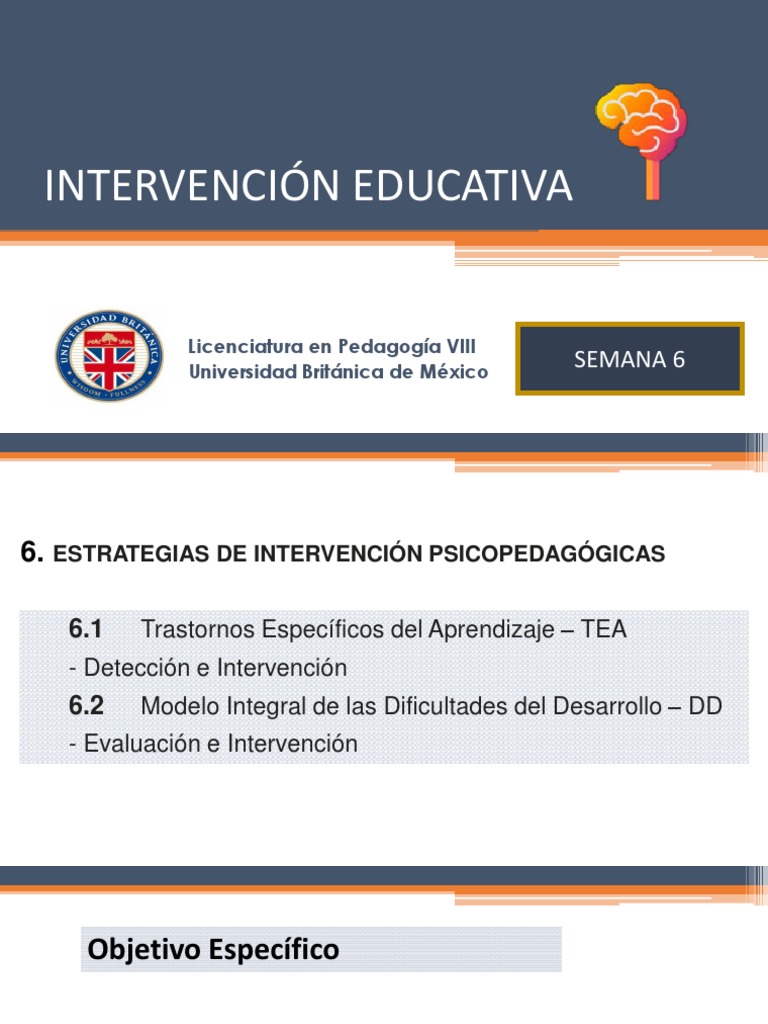 Estrategias de Intervención Psicopedagógica | PDF | Aprendizaje | Plan ...