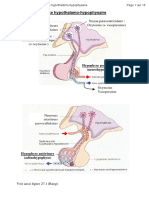 02 Medicaments Du Systeme Endocrine Axe Hypothalamo Hypophysaire