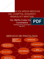 Psicología hospitalaria en áreas médicas Rebagliati