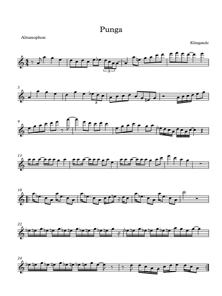 Punga Eb | PDF