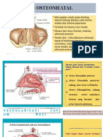 KOM, Perdarahan, Persarafan Dan Mukosa Hidung