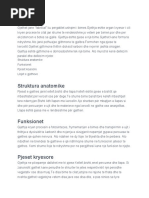 Gjethja Dhe Ndertimi I Saj | PDF