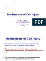 4-2020, Mechanisms of Cell Injury