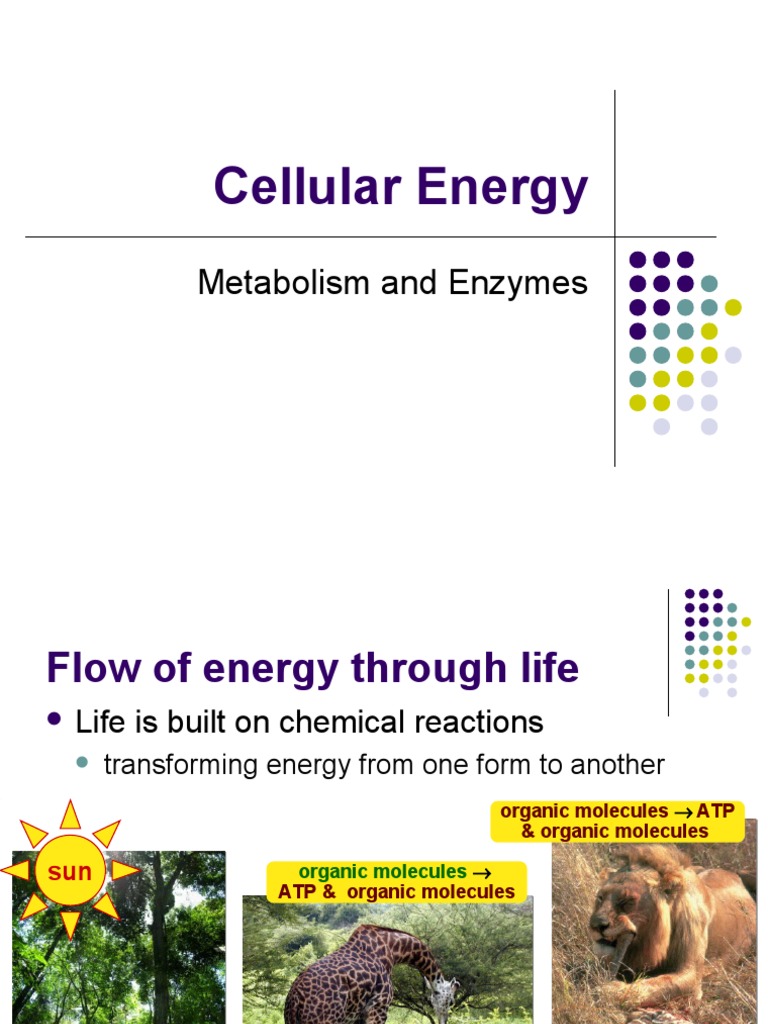 Notes Cell Energy 2010 | PDF | Enzyme | Adenosine Diphosphate