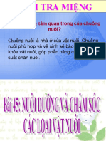 Bai 45 Nuoi duong va cham soc cac loai vat nuoi