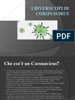 I Diversi Tipi Di Coronavirus